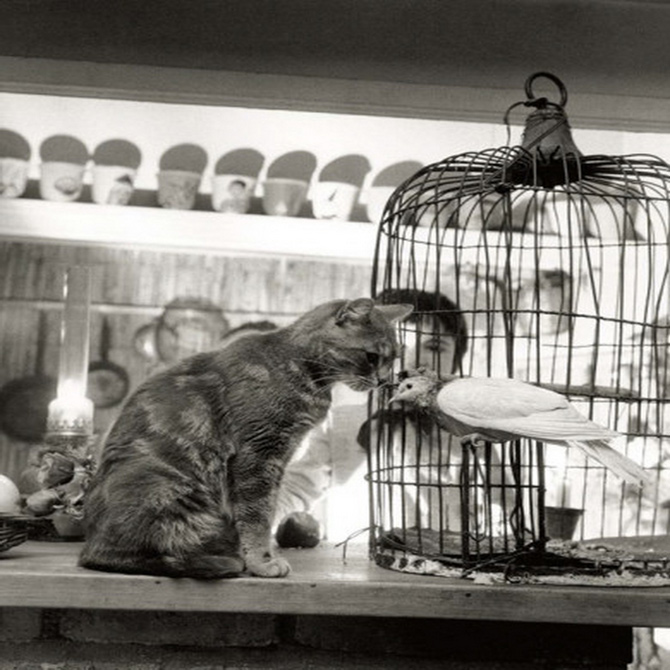robert doisneau robert doisneau