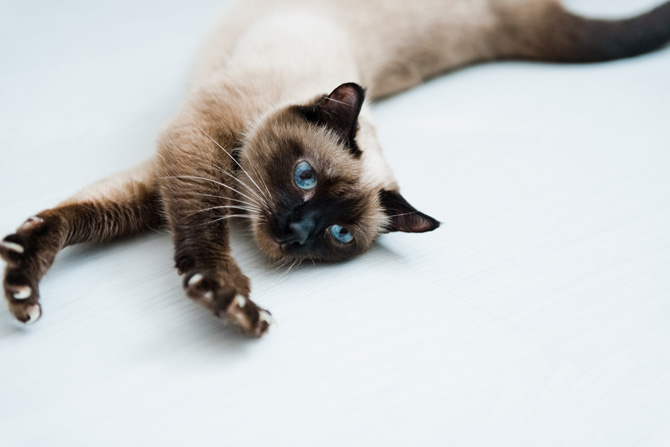 Mentre “fa stretching”!