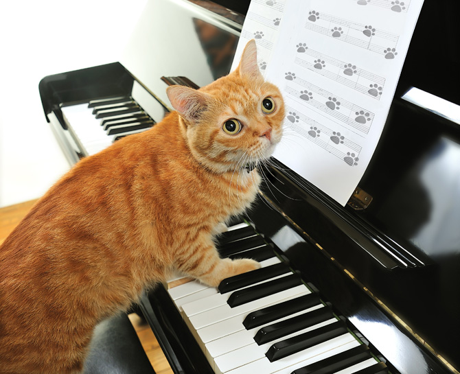 E …se hai un pianoforte!