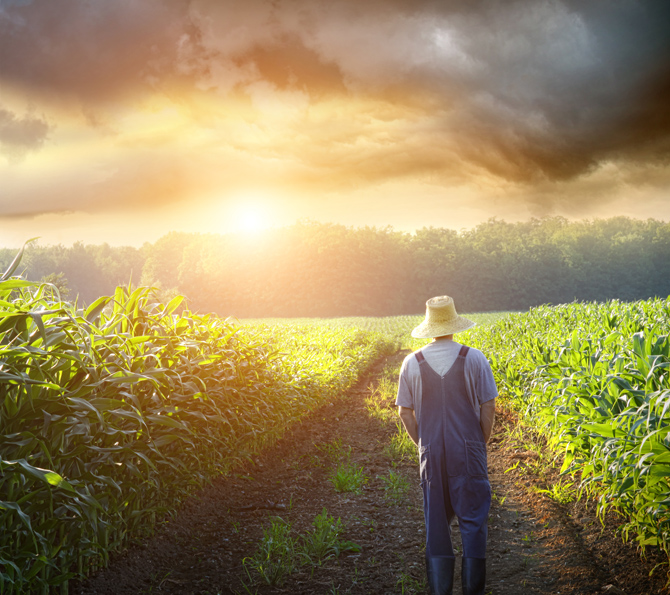 Per tutti coloro che lavorano la terra... Per tutti coloro che lavorano la terra...