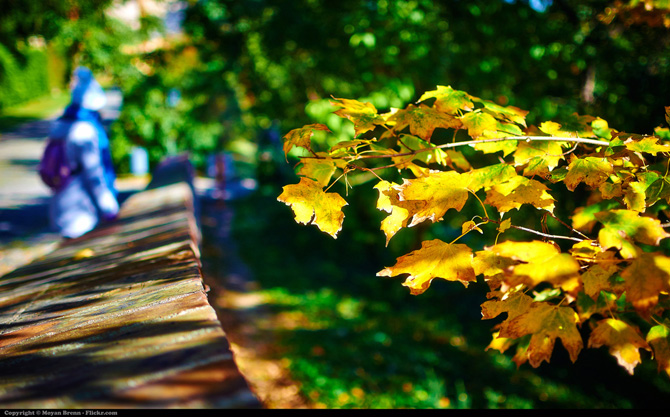 foto autunno 01 foto autunno 01