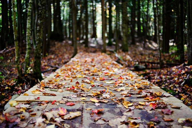 foto autunno 04 foto autunno 04