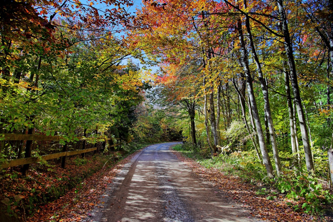 foto autunno 11 foto autunno 11