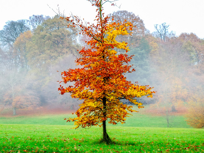 foto autunno 13 foto autunno 13