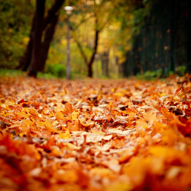 foto autunno 14 foto autunno 14