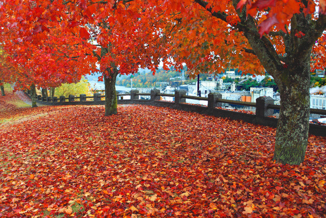 foto autunno 15 foto autunno 15