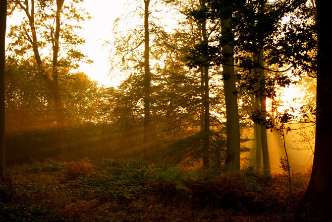 foto autunno 16 foto autunno 16
