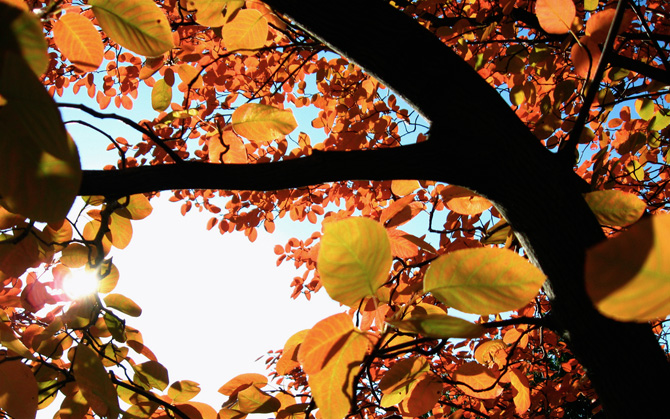 foto autunno 18 foto autunno 18