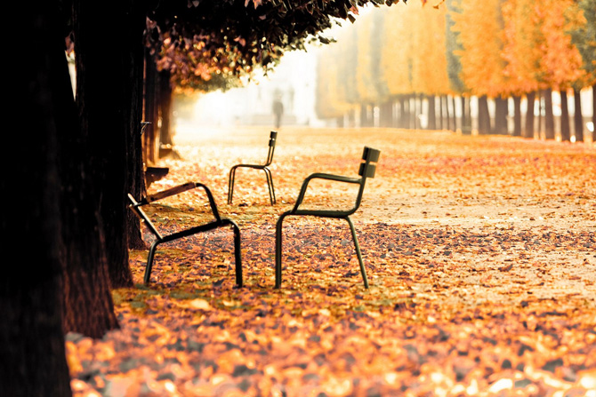 foto autunno 20 foto autunno 20
