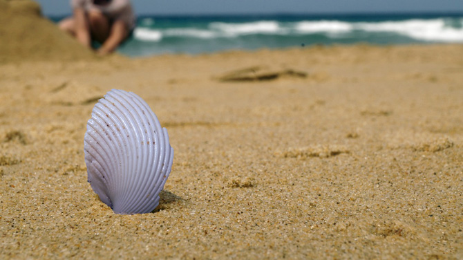 Pronto a partire per le vacanze? Scopri le 20 bellissime immagini che Rikorda dedica a questa calda estate! Pronto a partire per le vacanze? Scopri le 20 bellissime immagini che Rikorda dedica a questa calda estate!