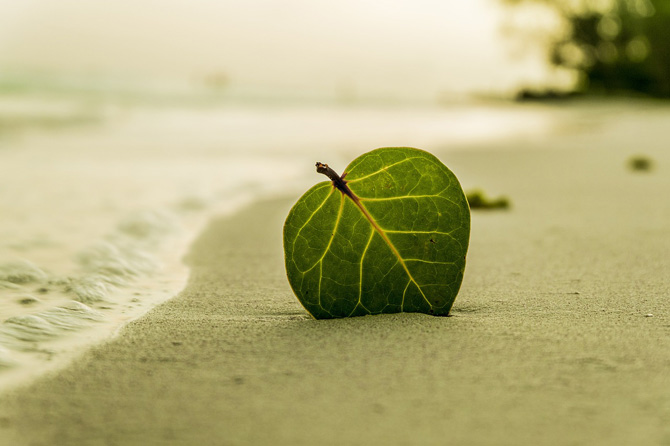 Pronto a partire per le vacanze? Scopri le 20 bellissime immagini che Rikorda dedica a questa calda estate! Pronto a partire per le vacanze? Scopri le 20 bellissime immagini che Rikorda dedica a questa calda estate!