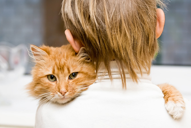 World Cat Day: auguri a tutti i mici del mondo! World Cat Day: auguri a tutti i mici del mondo!