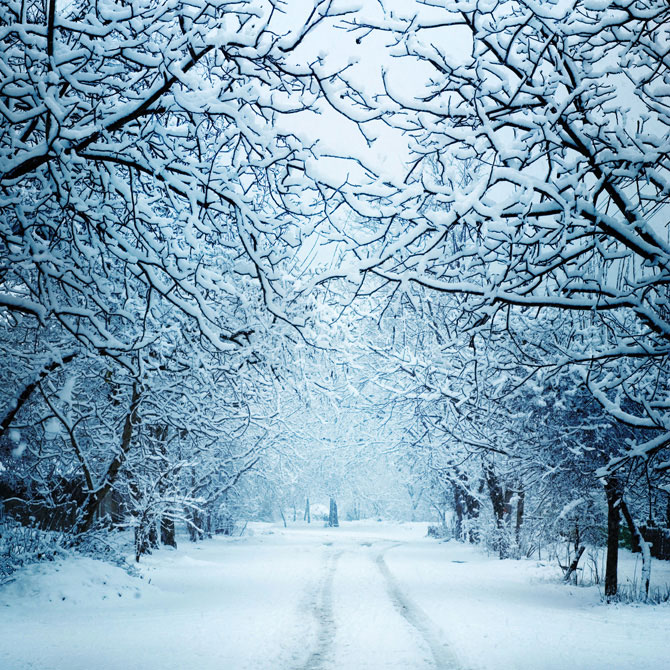7 consigli per scattare foto bellissime sulla neve!