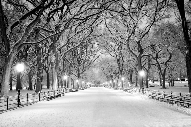 7 consigli per scattare foto bellissime sulla neve! 7 consigli per scattare foto bellissime sulla neve!