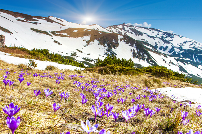 Aria di primavera in 11 coloratissimi scatti tra campagna e città!