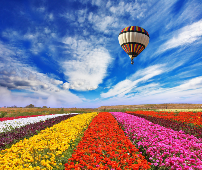 Aria di primavera in 11 coloratissimi scatti tra campagna e città!