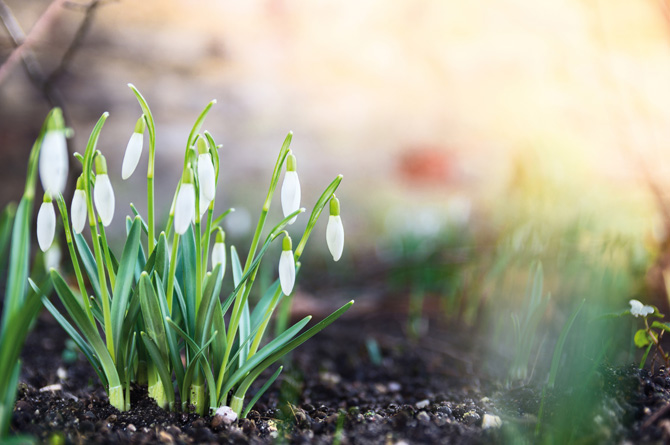 Aria di primavera in 11 coloratissimi scatti tra campagna e città!