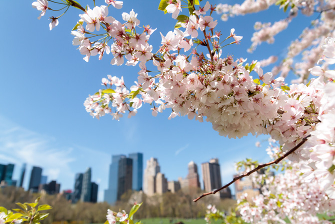 Aria di primavera in 11 coloratissimi scatti tra campagna e città!