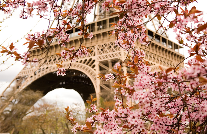 Aria di primavera in 11 coloratissimi scatti tra campagna e città!