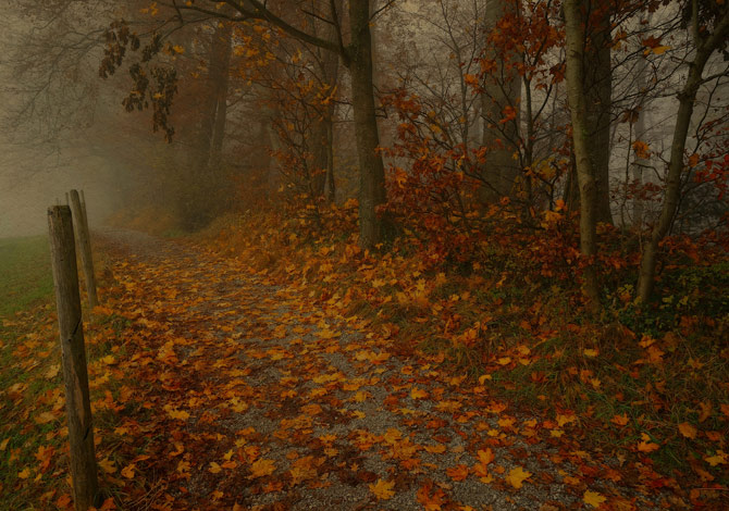 Foto Halloween Paesaggi spettrali