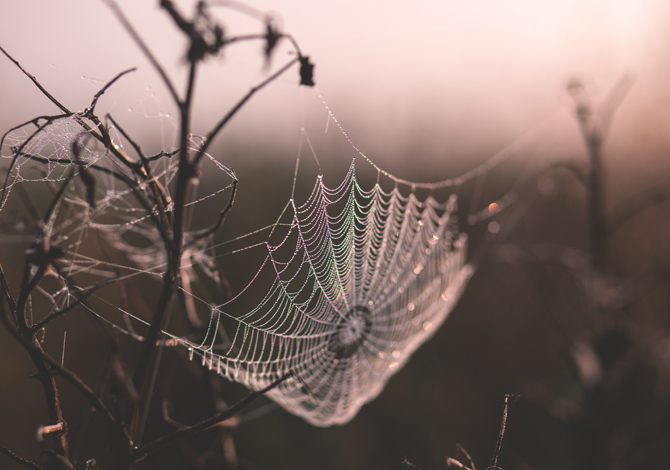 Foto Halloween Paesaggi spettrali