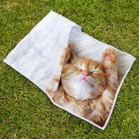 Asciugamano per Cani e Gatti