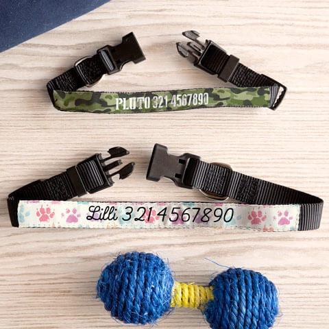 Collari per Cani e Gatti