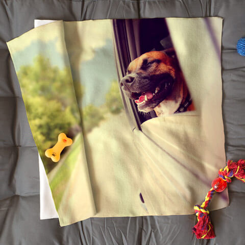 Copertina per Cani e Gatti
