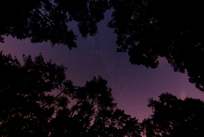 Scegli una serata serena