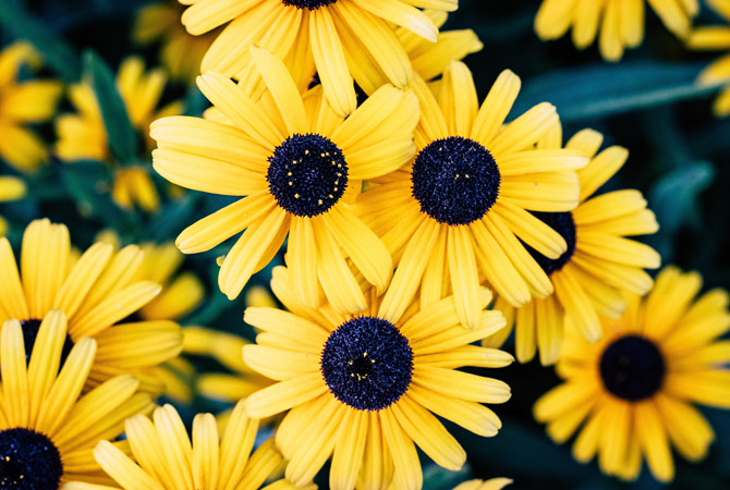 4. Solo luce naturale