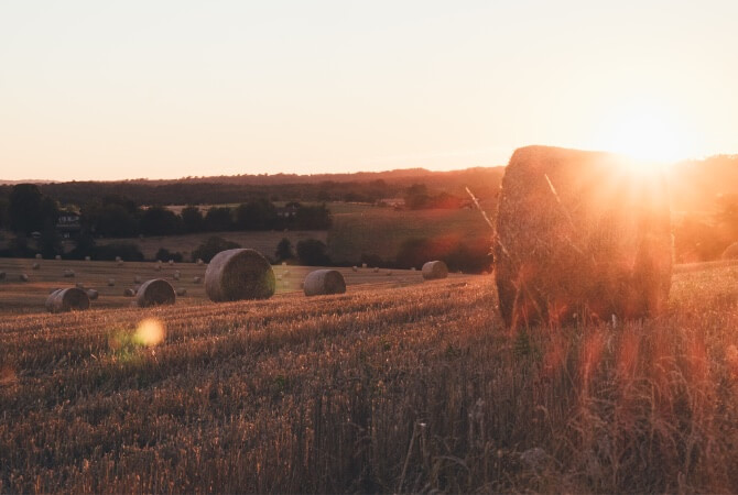 01 Lens Flare Fotografia