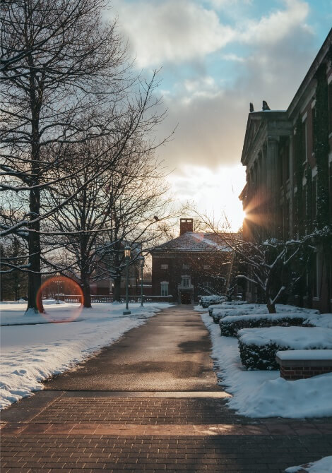 06 Lens Flare Fotografia