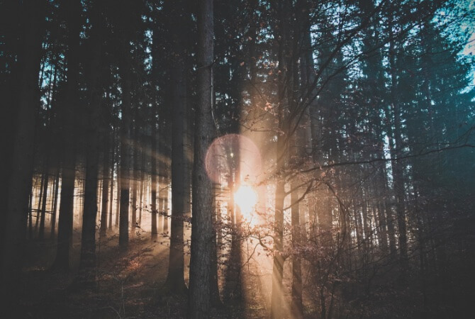 07 Lens Flare Fotografia