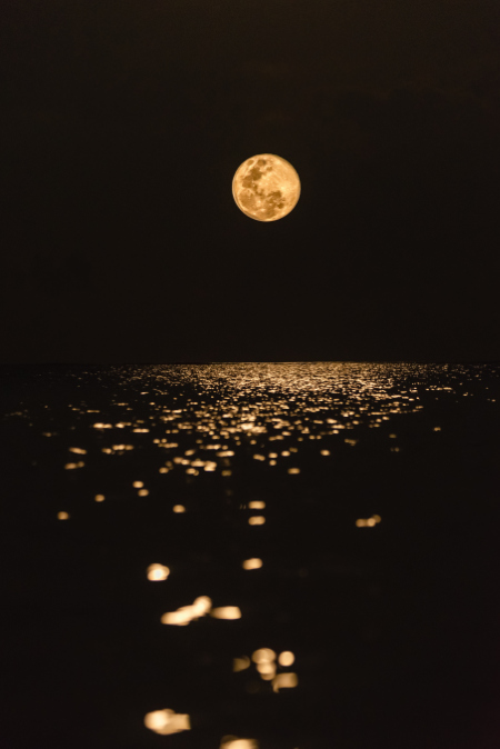 Fotografia della luna la cui luce si rilette sul mare