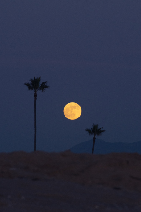 Fotografia della luna piena