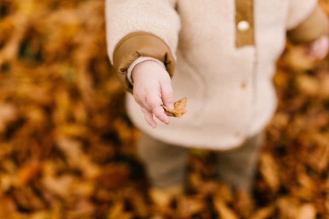 Fotografare i bambini: foto dettaglio di una mano con in mano una foglia