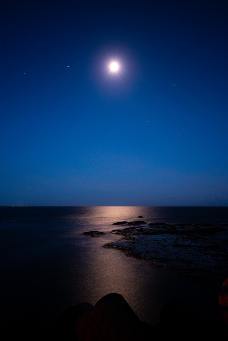 Fotografia del mare di notte illuminato dalla luna