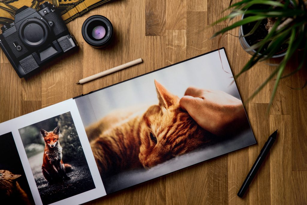 Album fotografico di foto naturalistiche