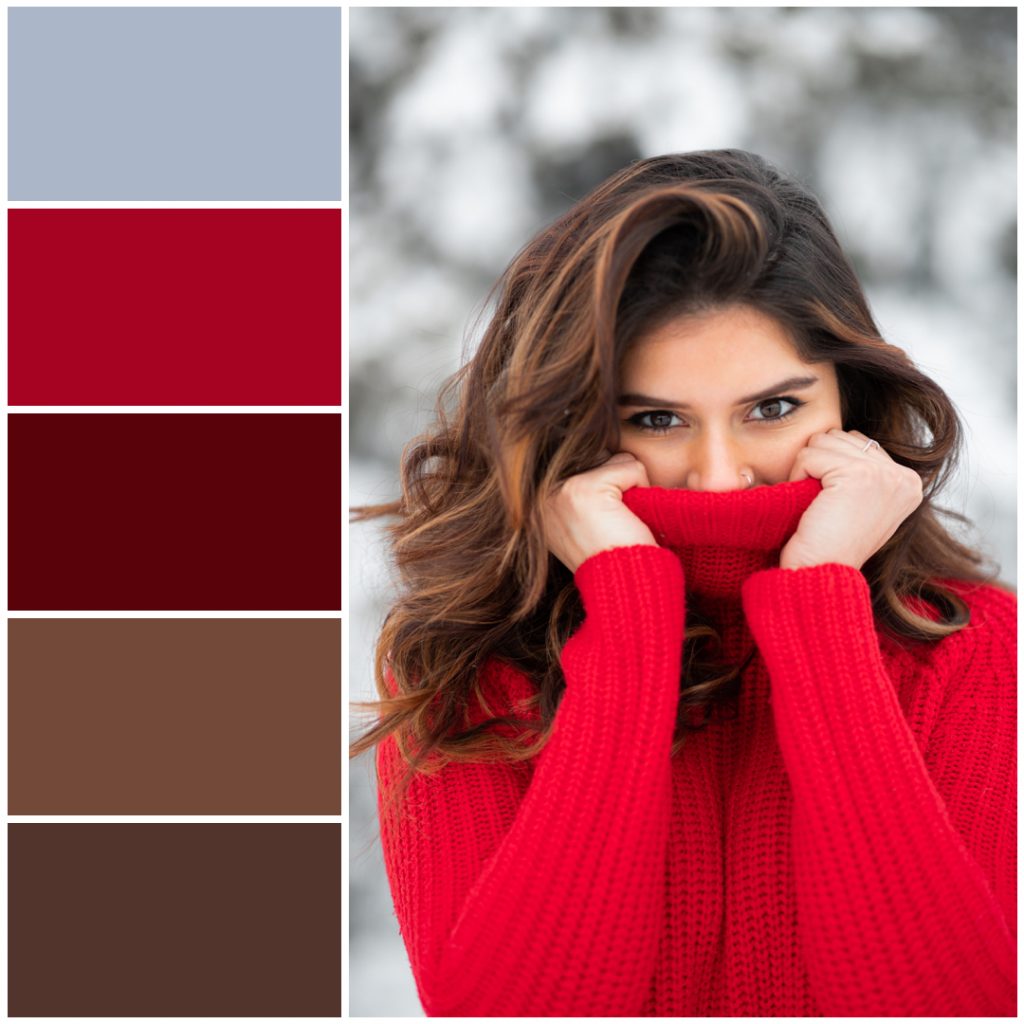 Palette cromatica invernale 
