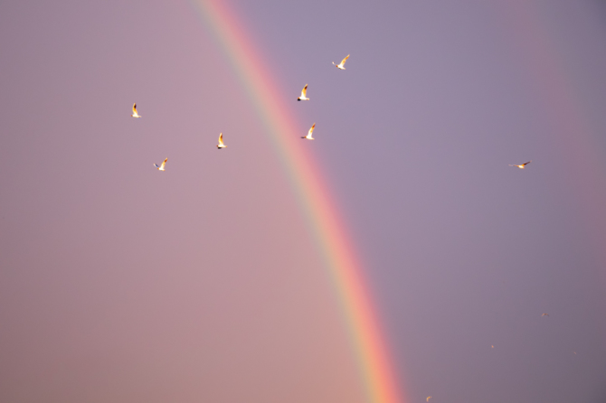 Quanti colori ha l’arcobaleno
