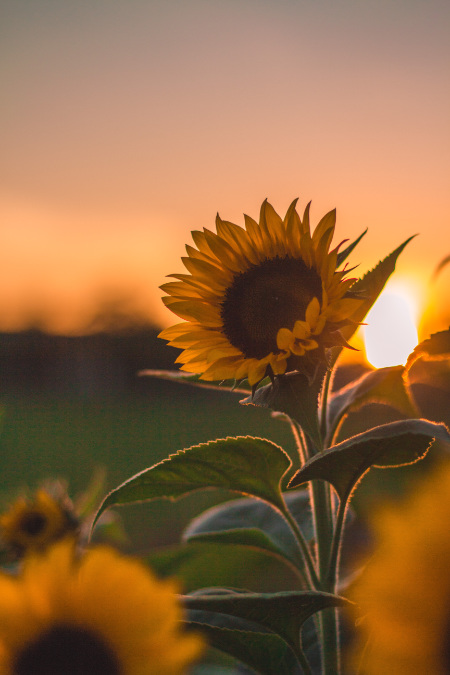 Alba e tramonto: i momenti che regalano più emozioni