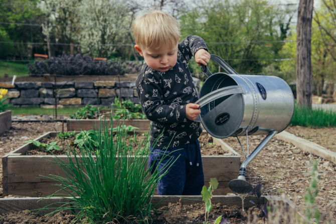 Garden photography