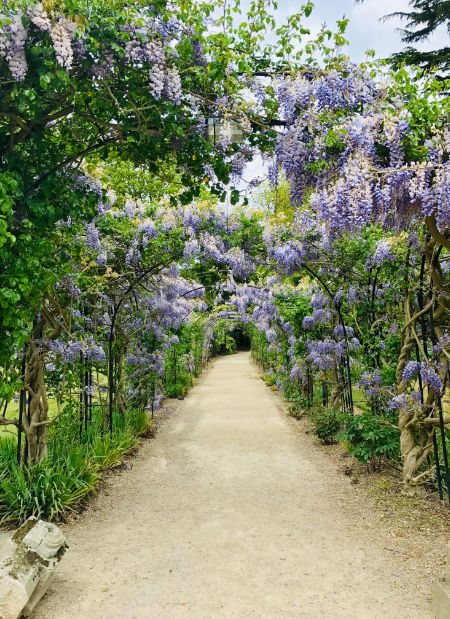 Fotografa foglie e fiori per giocare con i colori