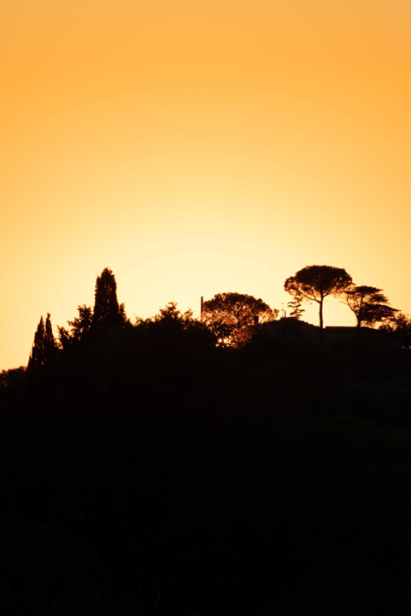 Approfitta delle ore in più di luce