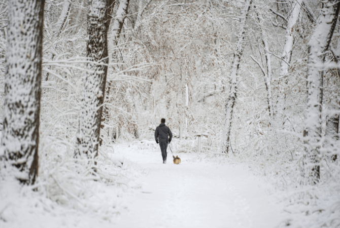 Foto creative sulla neve: febbraio