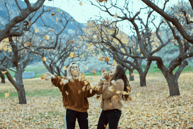 Fotografare il foliage autunnale: novembre