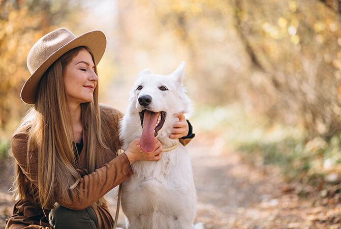 Pet Photography: sfrutta la luce naturale